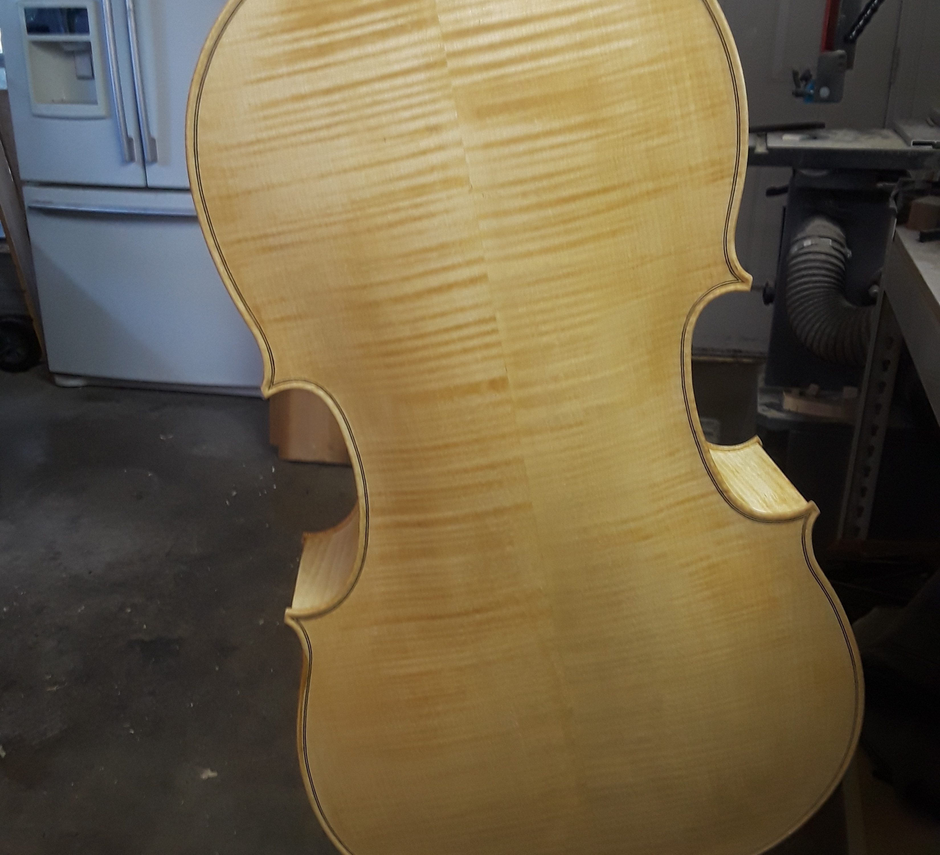 A cello back with its 1st coat of varnish.